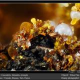 Cacoxenite, Beraunite, Strengite<br />Fumade, Castelnau-de-Brassac, Tarn, Occitanie, France<br />fov 1.8 mm<br /> (Author: ploum)