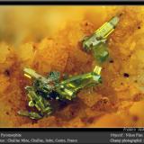 Pyromorphite<br />Chaillac Mine, Chaillac, Le Blanc, Indre, Centre-Val de Loire, France<br />fov 1,8 mm<br /> (Author: ploum)