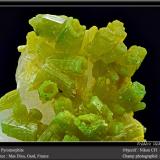 Pyromorphite<br />Mas Dieu, Mercoirol, Alès, Gard, Occitanie, France<br />fov 4,5 mm<br /> (Author: ploum)