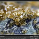 Andradite (var. topazolite)Cantera Monte Ferrato, Prato, Provincia Prato, Toscana, Italiafov 4.5 mm (Author: ploum)