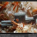 Pseudobrookite, Sanidine<br />De la Aljorra Quarries, Cerro de la Cabezuela (de la Aljorra Volcano), La Aljorra, Cartagena, Comarca Campo de Cartagena, Region of Murcia (Murcia), Spain<br />fov 1.8 mm<br /> (Author: ploum)