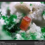 Wulfenite<br />Musonoi Mine, Kolwezi, Kolwezi District, Lualaba, Katanga Copper Crescent, Katanga (Shaba), Democratic Republic of the Congo (Zaire)<br />fov 1.8 mm<br /> (Author: ploum)