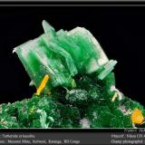 Torbernite and Kasolite<br />Musonoi Mine, Kolwezi, Kolwezi District, Lualaba, Katanga Copper Crescent, Katanga (Shaba), Democratic Republic of the Congo (Zaire)<br />fov 4,5 mm<br /> (Author: ploum)