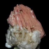 Serandite, Natrolite, Aegirine and AnalcimeMont Saint-Hilaire, La Vallée-du-Richelieu RCM, Montérégie, Québec, Canada4.3 x 3.5 cm (Author: Don Lum)