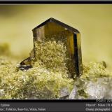 Epidote<br />Felskinn, Fee Glacier, Saas Fee, Saas Valley, Zermatt - Saas Fee, Wallis (Valais), Switzerland<br />fov 4.5 mm<br /> (Author: ploum)