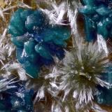 Clinoatacamita y OlivenitaCuesta Alta Mine, Cerro Minado, Huércal-Overa, Comarca Levante Almeriense, Almería, Andalusia, SpainCampo de visión 2 mm (Autor: Juan Miguel)