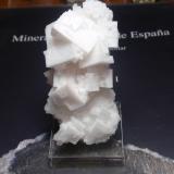 Halita<br />Salinas de Imón, Imón, Sigüenza, Comarca Serranía de Guadalajara, Guadalajara, Castilla-La Mancha, España<br />35x80 mm<br /> (Autor: Ignacio)