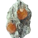 Spessartine<br />Sangulungulu Hill (Nani Hill), Naan village, Loliondo, Ngorongoro District, Arusha Region, Tanzania<br />Specimen size 5 cm, each crystal measures 1 cm<br /> (Author: Tobi)