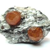 Spessartine<br />Sangulungulu Hill (Nani Hill), Naan village, Loliondo, Ngorongoro District, Arusha Region, Tanzania<br />Specimen size 5 cm, each crystal measures 1 cm<br /> (Author: Tobi)