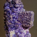 Fluorite on QuartzZona minera Huanggang, Hexigten Banner (Kèshíkèténg Qí), Chifeng (Ulanhad), Región Autónoma Mongolia Interior, China9.0 x 5.6 cm (Author: Don Lum)