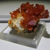 Vanadinite on BariteACF Mine area, Mibladen mining district, Mibladen, Midelt, Midelt Province, Drâa-Tafilalet Region, Morocco4.3 cm X 2.5 cm (Author: steven calamuci)