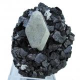 Scheelite, magnetiteZona minera Huanggang, Hexigten Banner (Kèshíkèténg Qí), Chifeng (Ulanhad), Región Autónoma Mongolia Interior, China67 mm x 56 mm. Scheelite crystal: 30.0 mm tall (Author: Carles Millan)