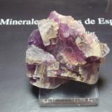 Fluorita<br />Cantera Mures, Las Pedrizas, Mures, Alcalá la Real, Comarca Sierra Sur, Jaén, Andalucía, España<br />50x50 mm<br /> (Autor: Ignacio)