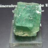 Fluorita<br />El Hammam, Ait Mimoune, Provincia Khémisset, Región Rabat-Salé-Kénitra, Marruecos<br />30x40 mm<br /> (Autor: Ignacio)