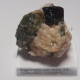 Espinela<br />Mina Parker, Notre-Dame-du-Laus, Antoine-Labelle RCM, Laurentides, Québec, Canadá<br />40x30 mm<br /> (Autor: Ignacio)