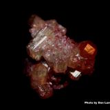 Vesuvianite (var. manganoan vesuvianite)Mina Jeffrey, Asbestos, Les Sources RCM, Estrie, Québec, Canadá3.4 x 2.2 cm (Author: Don Lum)