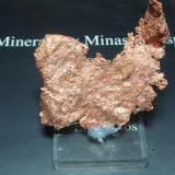Cobre<br />Michigan, USA<br />50x50 mm<br /> (Autor: Ignacio)