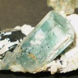 Berilo (variedad aguamarina), Chorlo y AlbitaErongo Mountain, Usakos, Erongo Region, Namibia8,5 x 6 x 4,2 cm (Autor: Juancho)