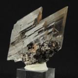 Gypsum (var. selenite)<br />Naica Mine, Naica, Municipio Saucillo, Chihuahua, Mexico<br />5.5 x 4 x 2.4 centimeters<br /> (Author: Ricardo Melendez)