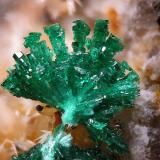 Malachite<br />Sol Mine, Cerro de los Guardias, Rodalquilar, Níjar, Comarca Metropolitana de Almería, Almería, Andalusia, Spain<br />fov 2 mm<br /> (Author: Rewitzer Christian)