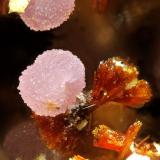 Strengite on Beraunite<br />Folgosinho, Gouveia, Guarda District, Centro Region, Portugal<br />fov 1.5 mm<br /> (Author: Rewitzer Christian)