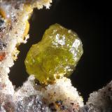 Miersite<br />María Josefa Mine, Rodalquilar, Níjar, Comarca Metropolitana de Almería, Almería, Andalusia, Spain<br />fov 1.2 mm<br /> (Author: Rewitzer Christian)