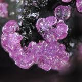 StrengiteFolgosinho, Gouveia, Guarda District, Centro Region, Portugalfov 1.0 mm (Author: Rewitzer Christian)