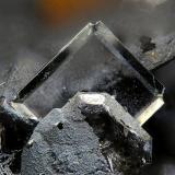StolziteLa Tala Mine (Teresa mine-Goviendes Mine), La Tala, Comarca Alto Tormes, Salamanca, Castile and León, Spainfov 1.3 mm (Author: Rewitzer Christian)