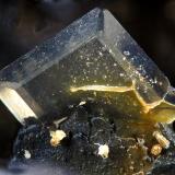 StolziteLa Tala Mine (Teresa mine-Goviendes Mine), La Tala, Comarca Alto Tormes, Salamanca, Castile and León, Spainfov 2.4 mm (Author: Rewitzer Christian)