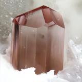 Elbaite (Tourmaline Group)Mina Alvarrões (concesión C-8), Seixo Amarelo-Gonçalo-Vela, Guarda, Distrito Guarda, Región Centro, Portugalfov 5 mm (Author: Rewitzer Christian)