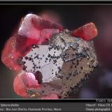 Spherocobaltite<br />Agoudal Mines, Tansifite, Agdz, Bou Azzer mining district, Zagora Province, Drâa-Tafilalet Region, Morocco<br />fov 1.8 mm<br /> (Author: ploum)