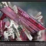 Erythrite with QuartzAgoudal Centre Quarry, Tansifite, Agdz, Bou Azzer mining district, Zagora Province, Drâa-Tafilalet Region, Moroccofov 4.5 mm (Author: ploum)