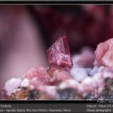 Erythrite<br />Agoudal Centre Quarry, Tansifite, Agdz, Bou Azzer mining district, Zagora Province, Drâa-Tafilalet Region, Morocco<br />fov 4.5 mm<br /> (Author: ploum)