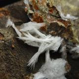 BaritaMines Can Palomeres, Malgrat de Mar, Comarca Maresme, Barcelona, Cataluña / Catalunya, España5 x 4 x 4 cm (Autor: karbu8)
