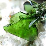 LindgrenitaSan Samuel Mine (San Manuel Mine), Carrera Pinto, Cachiyuyo de Llampos District, Copiapó Province, Atacama Region, Chilefov 1.5 mm (Autor: Rewitzer Christian)
