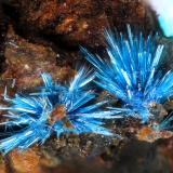 ConnellitaMina Cuesta Alta, Cerro Minado, Huércal-Overa, Comarca Levante Almeriense, Almería, Andalucía, Españafov 2 mm (Autor: Rewitzer Christian)