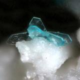 JoteitaJote Mine, Pampa Larga district, Tierra Amarilla, Copiapó Province, Atacama Region, Chilefov 0.4 mm (Autor: Rewitzer Christian)