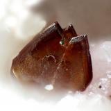 CanutitaTorrecillas Mine, Salar Grande, El Tamarugal Province, Tarapacá Region, Chilefov 0.5 mm (Autor: Rewitzer Christian)