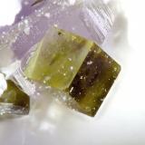 PercylitaAlcaparrosa Mine, Cerritos Bayos, Calama, El Loa Province, Antofagasta Region, Chile1 mm (Autor: Rewitzer Christian)