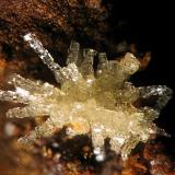 NatropharmacoalumitaMaría Josefa Mine, Rodalquilar, Níjar, Comarca Metropolitana de Almería, Almería, Andalusia, Spainfov 2.5 mm (Autor: Rewitzer Christian)