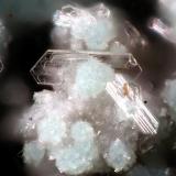 TapiaitaJote Mine, Pampa Larga district, Tierra Amarilla, Copiapó Province, Atacama Region, Chilefov 0.2 mm (Autor: Rewitzer Christian)