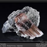Elbaite (Tourmaline Group)Paprok, Distrito Kamdesh, Provincia Nuristan, Afganistánfov 50 mm (Author: ploum)