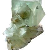 Fluorite<br />Xianghuapu Mine, Xianghualing Sn-polymetallic ore field, Linwu, Chenzhou Prefecture, Hunan Province, China<br />Specimen size 11,5 cm, largest crystal 4 cm<br /> (Author: Tobi)