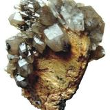Quartz (var. smoky quartz)<br />Erongorus 166 farm / Bergsig 167 farm, Karibib District, Erongo Region, Namibia<br />Specimen size 11 cm, largest crystal 3,5 cm<br /> (Author: Tobi)