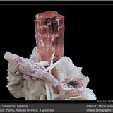 Elbaite (Tourmaline Group)Paprok, Distrito Kamdesh, Provincia Nuristan, Afganistánfov 50 mm (Author: ploum)