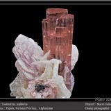 Elbaite (Tourmaline Group)Paprok, Distrito Kamdesh, Provincia Nuristan, Afganistánfov 50 mm (Author: ploum)