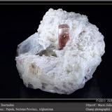 Elbaite (Tourmaline Group)Paprok, Distrito Kamdesh, Provincia Nuristan, Afganistánfov 100 mm (Author: ploum)