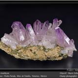 Quartz (var. amethyst)<br />Piedra Parada (Las Vigas), Municipio Tatatila, Veracruz (Veracruz de Ignacio de la Llave), Mexico<br />fov 100 mm<br /> (Author: ploum)