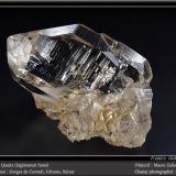 Quartz<br />Cavradi, Curnera Valley, Tujetsch (Tavetsch), Vorderrhein Valley, Grischun (Grisons; Graubünden), Switzerland<br />fov 80 mm<br /> (Author: ploum)