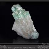 Elbaite (Tourmaline Group)Provincia Laghman, Afganistánfov 80 mm (Author: ploum)